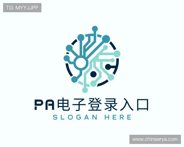 认识PA电子